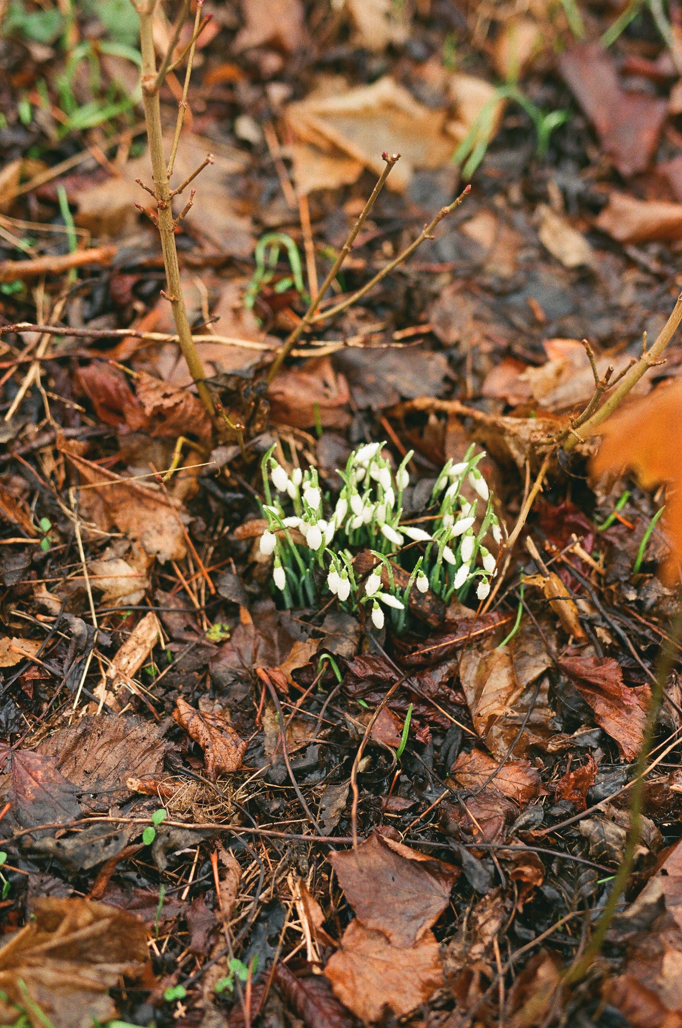 Photograph by Ana Šantl
