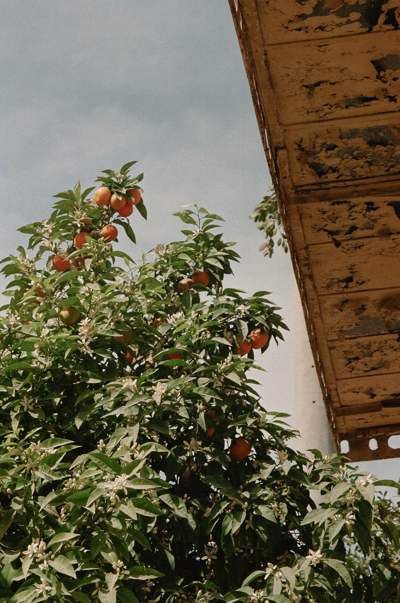 Photograph by Ana Šantl Andersen