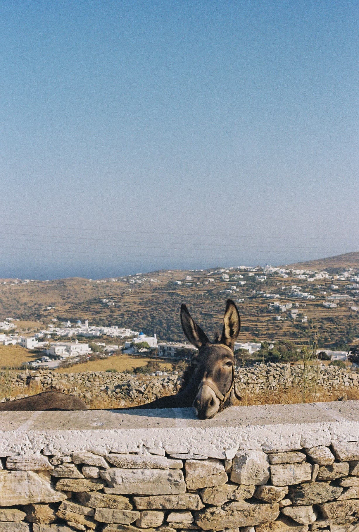 Photograph by Ana Šantl