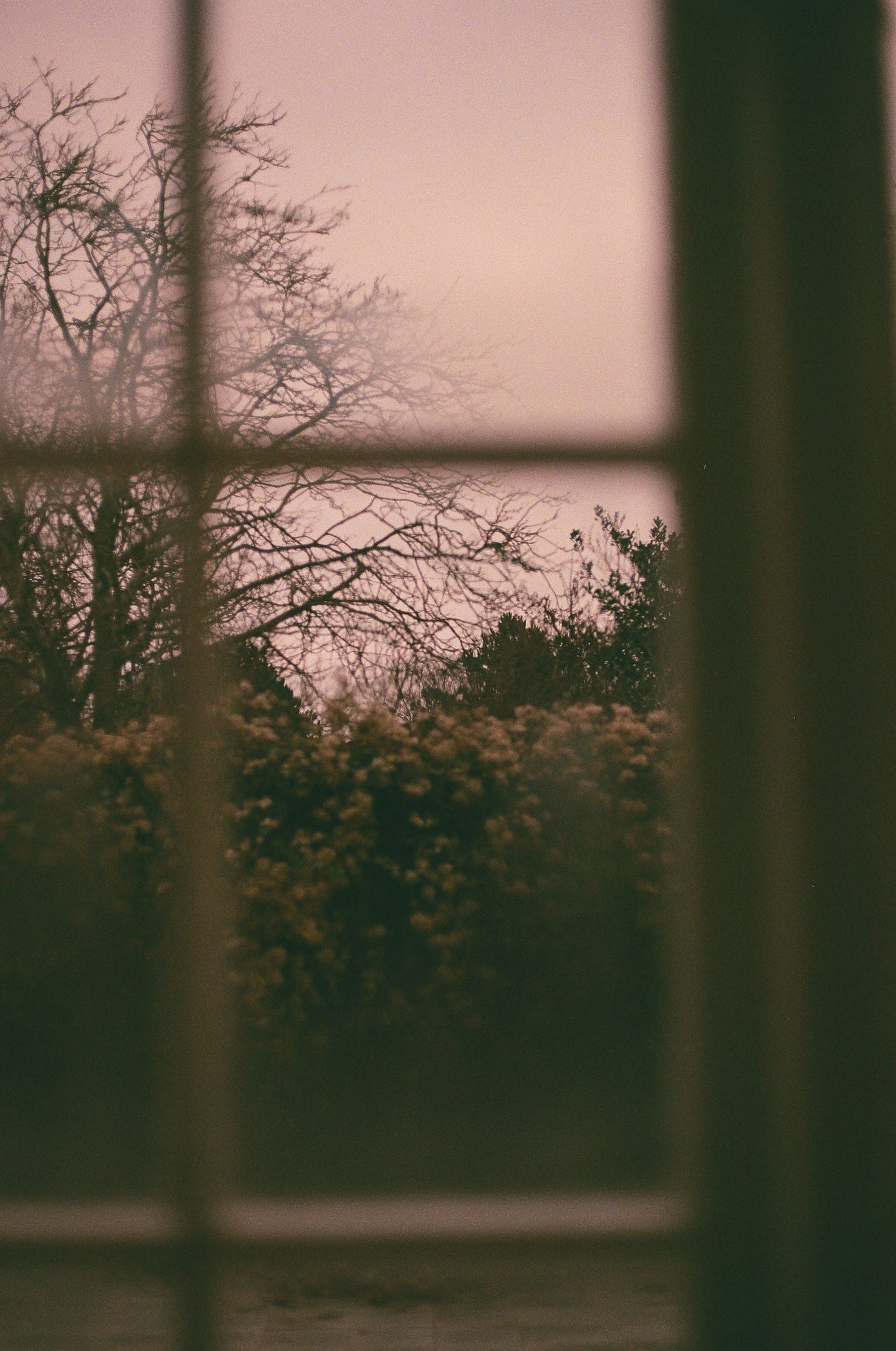 Photograph by Ana Šantl